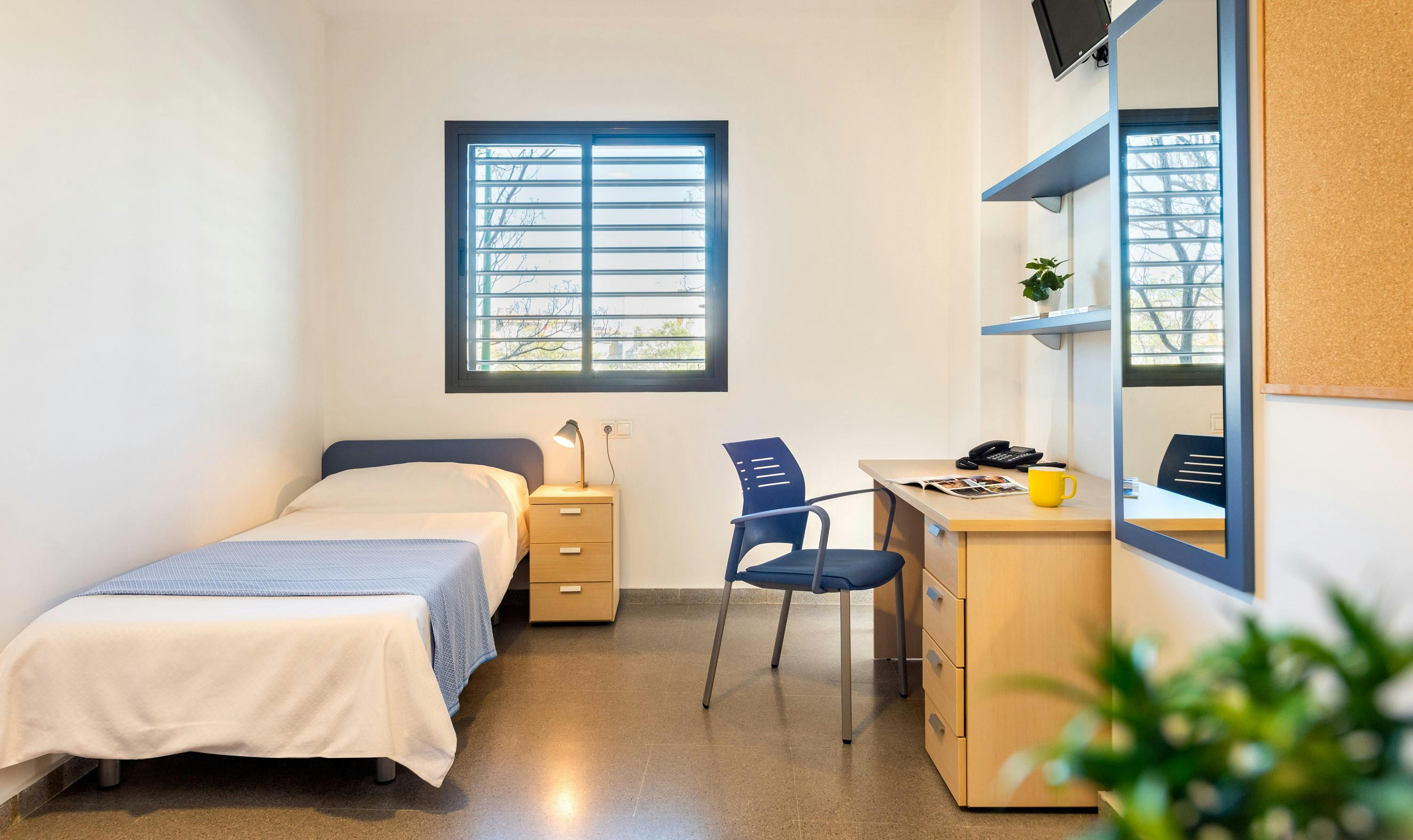 Etta att hyra för 756 € i månaden i Sevilla, Carretera Su Eminencia