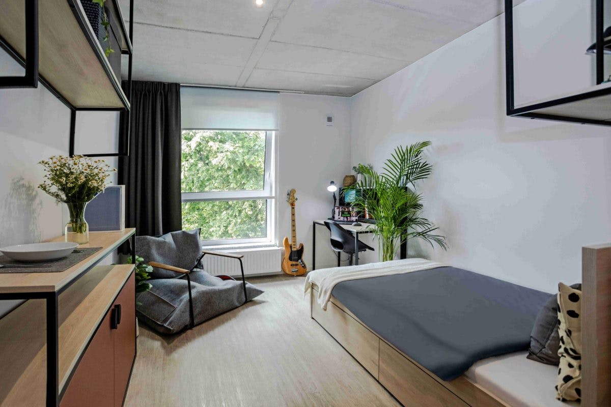 Delat rum att hyra för 2 069 PLN i månaden i Wrocław, ulica Bolesława Prusa