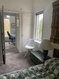 Private room for rent for €950 per month in Leiden, Witte Rozenstraat
