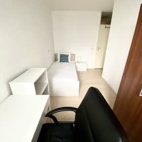 Private room for rent for €900 per month in Rotterdam, Weena
