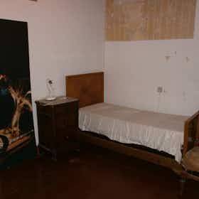 Отдельная комната сдается в аренду за 250 € в месяц в Pisa, Via San Martino