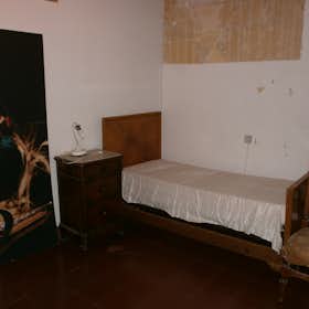 WG-Zimmer for rent for 250 € per month in Pisa, Via San Martino