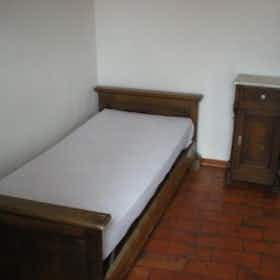 Приватна кімната за оренду для 300 EUR на місяць у Pisa, Via San Martino