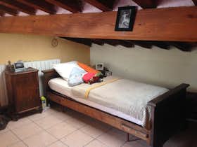 私人房间 正在以 €260 的月租出租，其位于 Pisa, Via San Martino