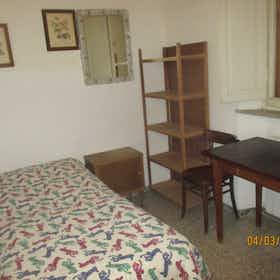 Private room for rent for €250 per month in Pisa, Via Silvio Luschi
