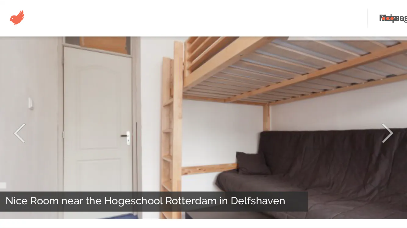 Private room in Willem Buytewechstraat, Rotterdam (506397) ROOM 4