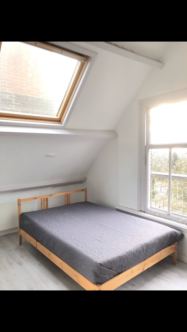 1-Bedroom Apartment in Nieuwe Binnenweg, Rotterdam (511360) ROOM
