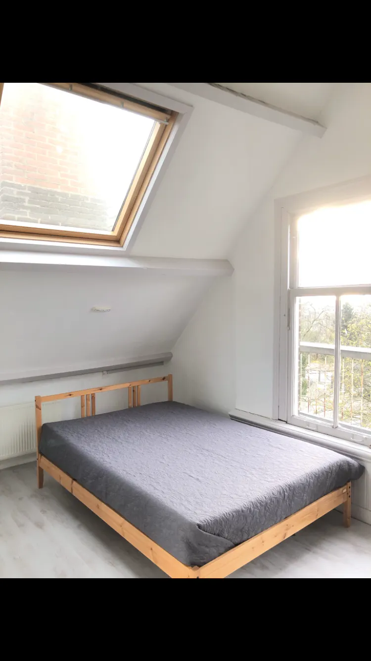 1-Bedroom Apartment in Nieuwe Binnenweg, Rotterdam (511360) ROOM