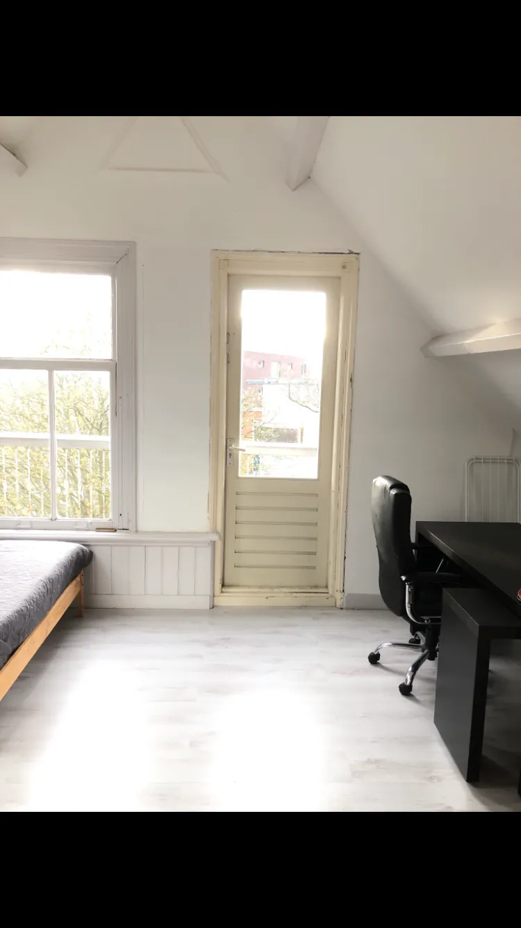 1-Bedroom Apartment in Nieuwe Binnenweg, Rotterdam (511360) ROOM 2