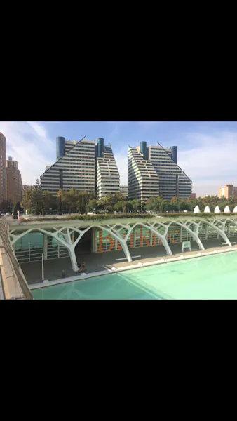 Avinguda de l'Institut Obrer de València, Valencia - in Valencia