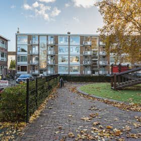 Apartment for rent for €1,590 per month in Schiedam, Newtonplein
