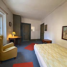 Private room for rent for DKK 3,724 per month in Aalborg, Kirkegårdsgade