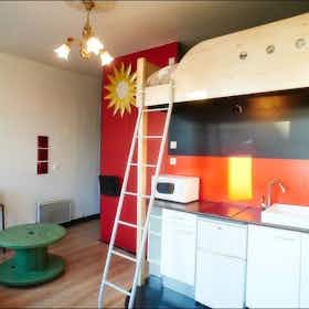 Studio for rent for €1,085 per month in Lille, Rue Barthélémy Delespaul