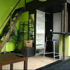 Studio para alugar por € 1.095 por mês em Lille, Rue Barthélémy Delespaul