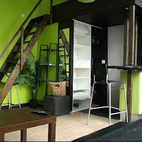 Studio for rent for €1,095 per month in Lille, Rue Barthélémy Delespaul