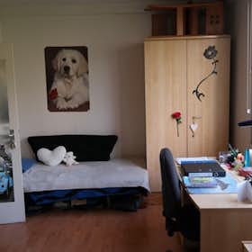 Private room for rent for €245 per month in Leuven, Tervuursevest