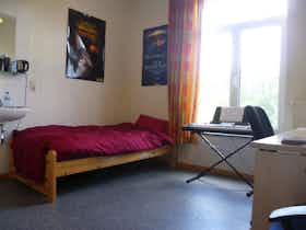 Privé kamer te huur voor € 300 per maand in Kortrijk, Sint-Rochuslaan
