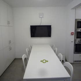 Private room for rent for €295 per month in Kortrijk, Oude-Vestingsstraat