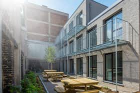 Privé kamer te huur voor € 275 per maand in Kortrijk, Wandelweg