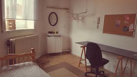 Приватна кімната за оренду для 290 EUR на місяць у Antwerpen, Boerhaavestraat
