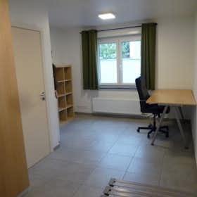 Private room for rent for €305 per month in Kortrijk, Oude-Vestingsstraat