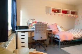 Privé kamer te huur voor € 380 per maand in Diepenbeek, Nierstraat