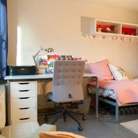 Отдельная комната сдается в аренду за 380 € в месяц в Diepenbeek, Nierstraat