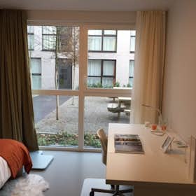 Private room for rent for €325 per month in Kortrijk, Wandelweg