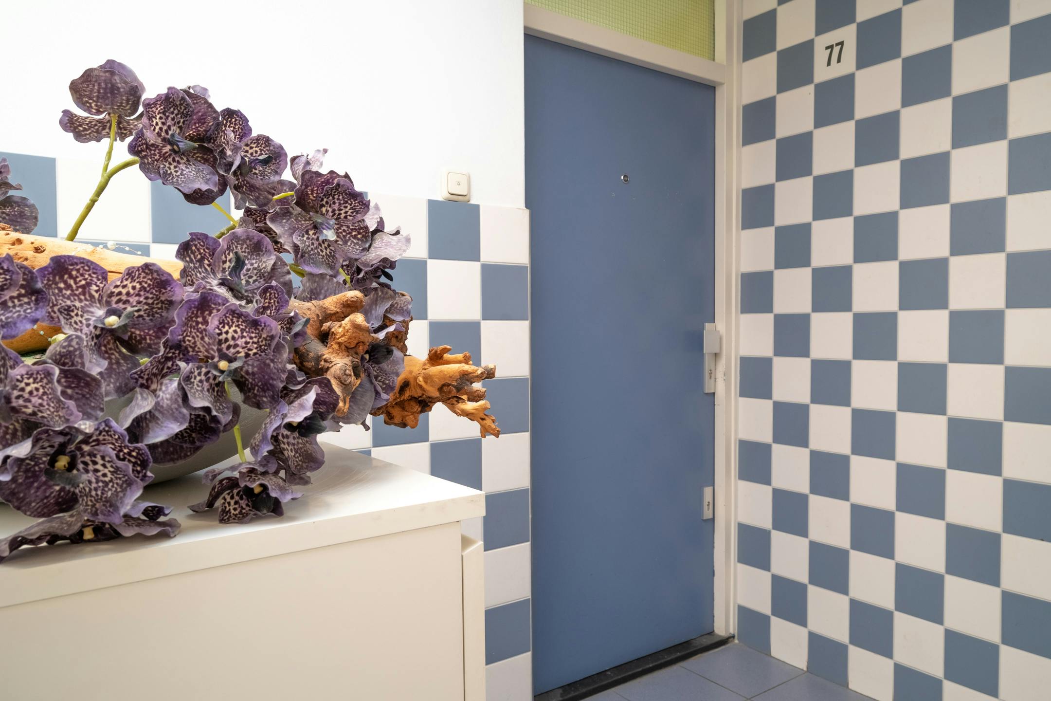 Private room in Herman Bavinckstraat, Rotterdam (564424) room image 21