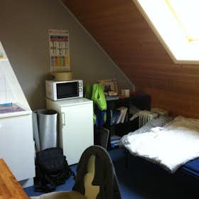 Private room for rent for €300 per month in Antwerpen, Bisschopstraat