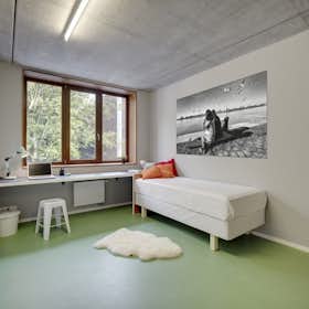 Private room for rent for €470 per month in Antwerpen, Kleine Kauwenberg
