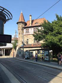 Monolocale in affitto a 700 € al mese a Strasbourg, Square de l'Aiguillage