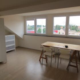 Private room for rent for €560 per month in Leuven, Tervuursevest