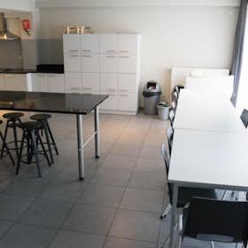 Private room for rent for €615 per month in Leuven, Weldadigheidsstraat