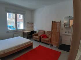 Private room for rent for €735 per month in Etterbeek, Rue de Haerne