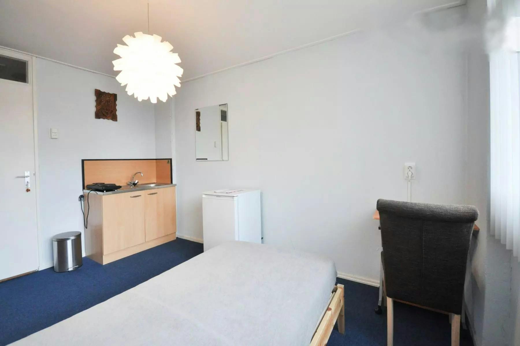Buntgras, Rotterdam preview
