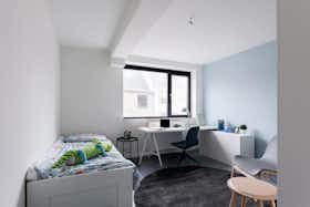 Habitación privada en alquiler por 320 € al mes en Diepenbeek, Stationsstraat