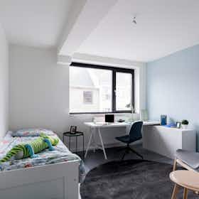 Habitación privada en alquiler por 320 € al mes en Diepenbeek, Stationsstraat