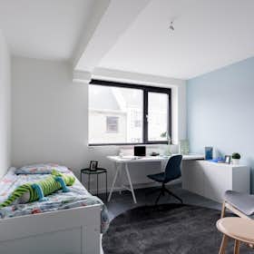 私人房间 正在以 €320 的月租出租，其位于 Diepenbeek, Stationsstraat