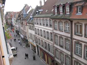 Apartament de închiriat pentru 700 EUR pe lună în Strasbourg, Rue des Drapiers