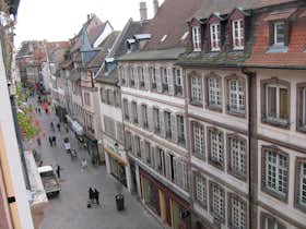 公寓 正在以 €700 的月租出租，其位于 Strasbourg, Rue des Drapiers