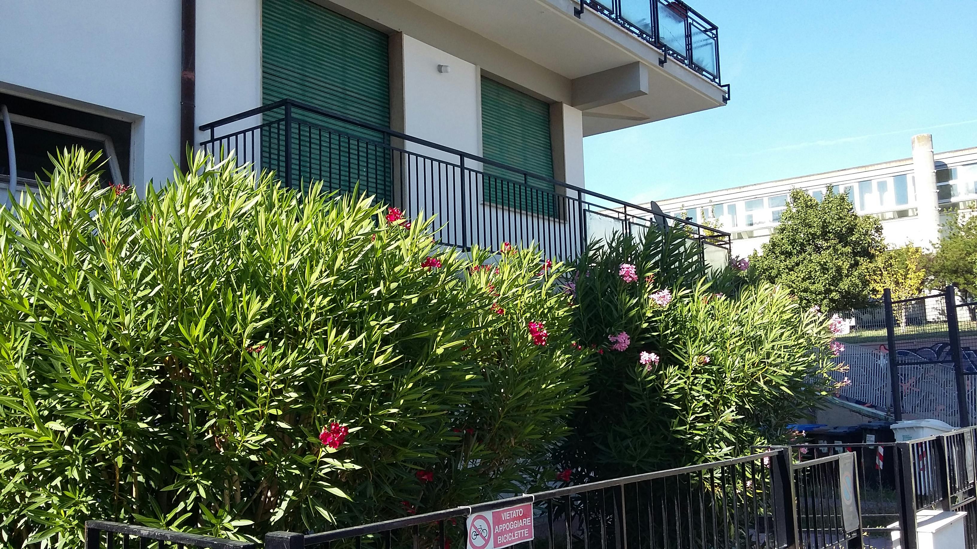 Chambre privée à louer pour 380 €/mois à Pisa, Via Luca Pacioli