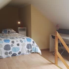Private room for rent for €800 per month in Brussels, John Waterloo Wilsonstraat