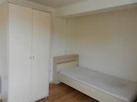 私人房间 正在以 €228 的月租出租，其位于 Kortrijk, Doorniksewijk