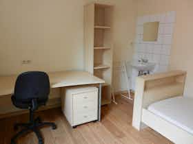 Приватна кімната за оренду для 228 EUR на місяць у Kortrijk, Doorniksewijk