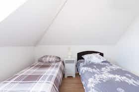 私人房间 正在以 €965 的月租出租，其位于 Rotterdam, Honingerdijk