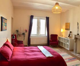 Private room for rent for €800 per month in Schaerbeek, Rue Gustave Fuss