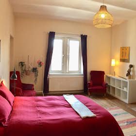 Private room for rent for €800 per month in Schaerbeek, Rue Gustave Fuss