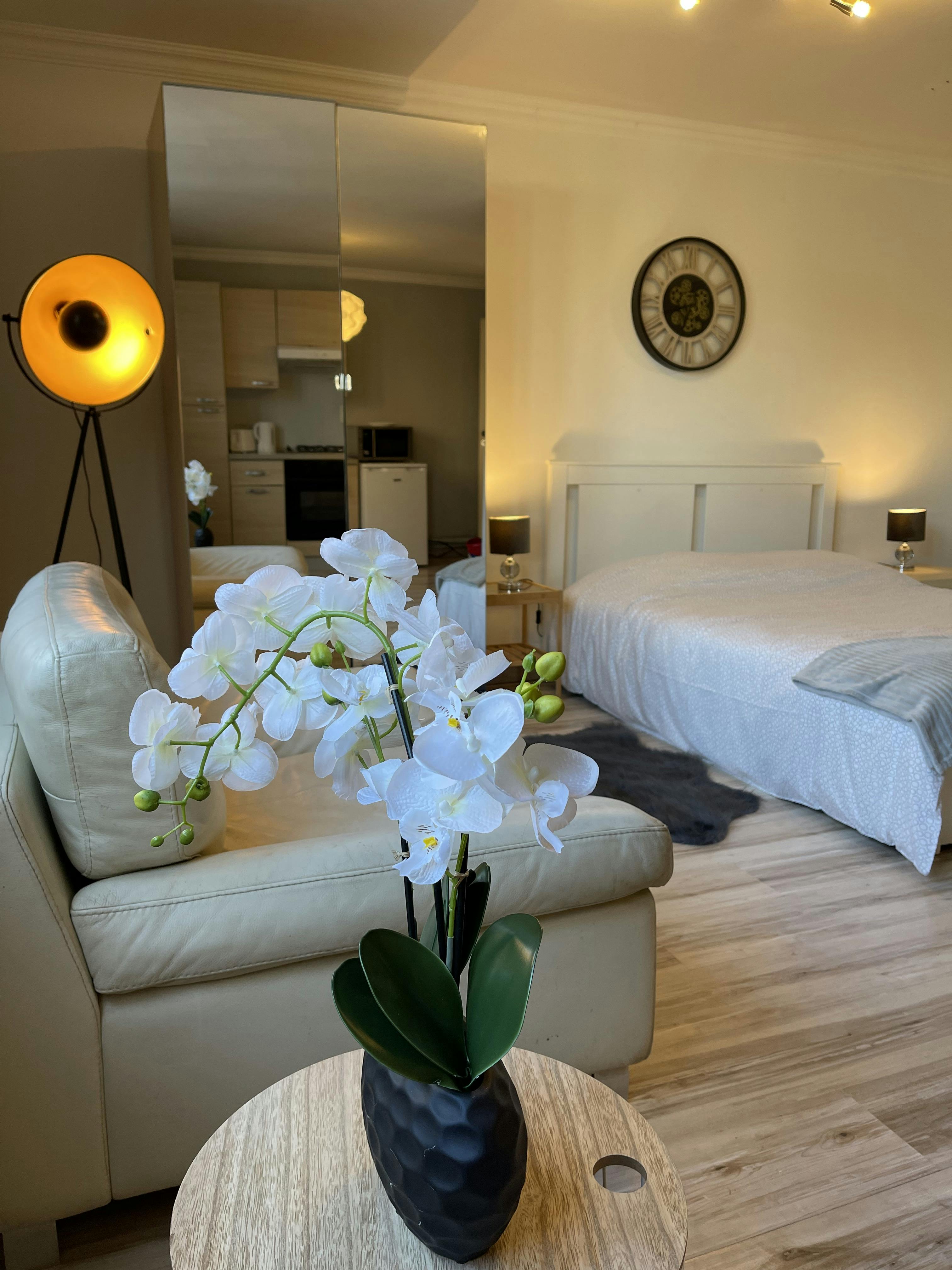 Studio in Antwerpen