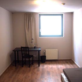 Private room for rent for €695 per month in Brussels, Antoine Dansaertstraat